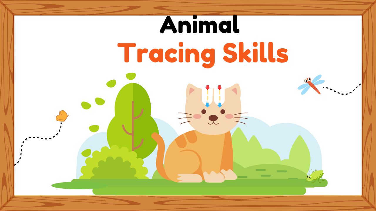 Tracing Worksheets for Kids- Colorful Tracing Animals